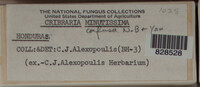 Image Associated With the Occurence
